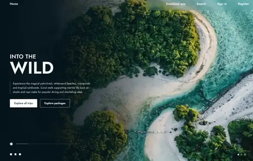 Into the Wild concept: aerial island with white sand and turquoise water behind a bold headline